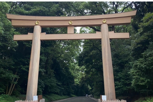 原宿表参道元気祭スーパーよさこい202